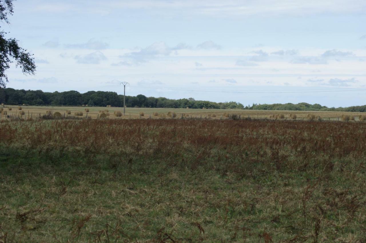 Le Tiot Gite Le Bois de Cise Buitenkant foto